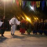 Επιτυχημένη η παρουσίαση των χορευτικών του Συλλόγου Ηπειρωτών στις αποκριάτικες εκδηλώσεις.